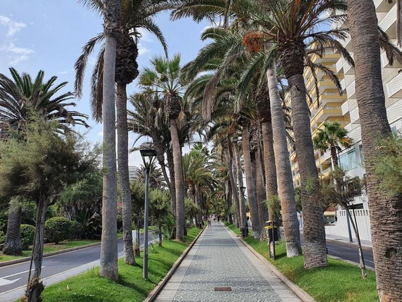 プエルト・デ・ラ・クルスApartamento Renovado, Frente A La Playa, Con Garajeアパートメント エクステリア 写真